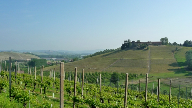 tenuta
